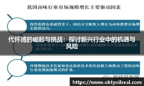 代怀博的崛起与挑战：探讨新兴行业中的机遇与风险